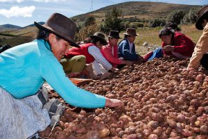 desarrollo económico